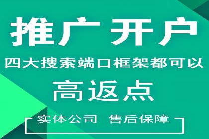 成功背后的力量：SEM推广代运营公司的故事